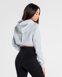 True Mesh Cropped Hoodie | Grey